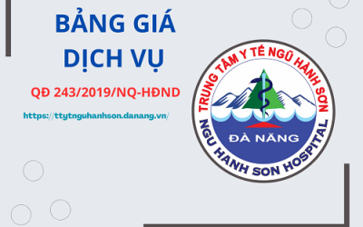Nghị quyết số 243/2019/NQ-HĐND ngày 11/07/2019 của Hội đồng nhân dân thành phố Đà Nẵng