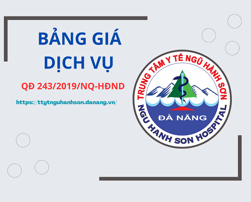 Nghị quyết số 243/2019/NQ-HĐND ngày 11/07/2019 của Hội đồng nhân dân thành phố Đà Nẵng